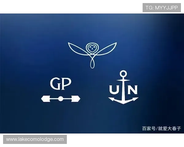 探访开云登陆入口背后的技术支持，解析其运营机制