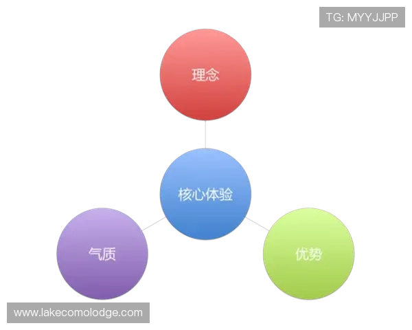 深入分析www.kaiyun.com平台的核心优势与用户体验,为您的企业发展提供专业建议和实用指南 深入分析www.kaiyun.com平台的核心优势与用户体验,为您的企业发展提供专业建议和实用指南