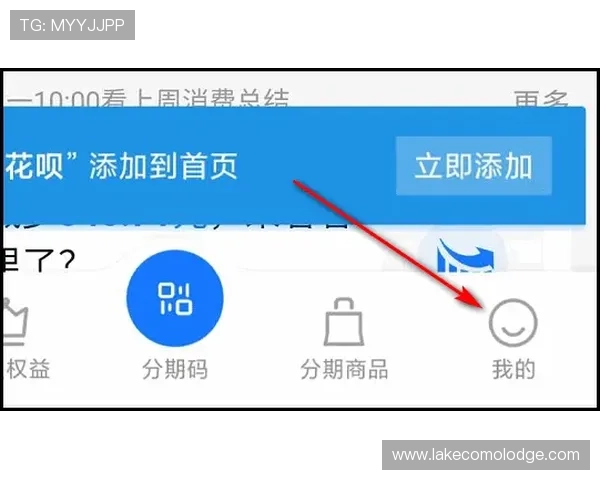开云平台登录主管热1765827哦，详细操作指南与常见问题解答